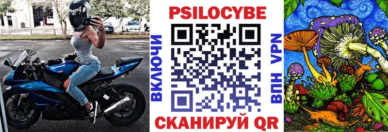 Галлюциногенные грибы Psilocybine cubensis  купить наркотик  Пермь 